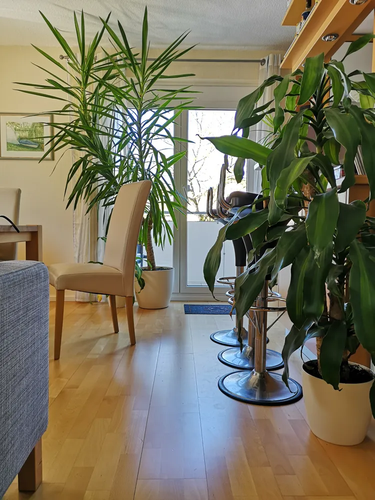 3 Zimmer Wohnung mit 76 m² in Karlsruhe – Bild 6