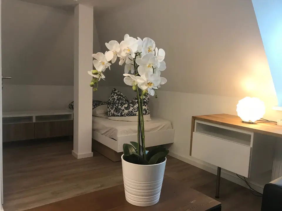 WG-Zimmer mit 23 m² in Erfurt – Bild 5