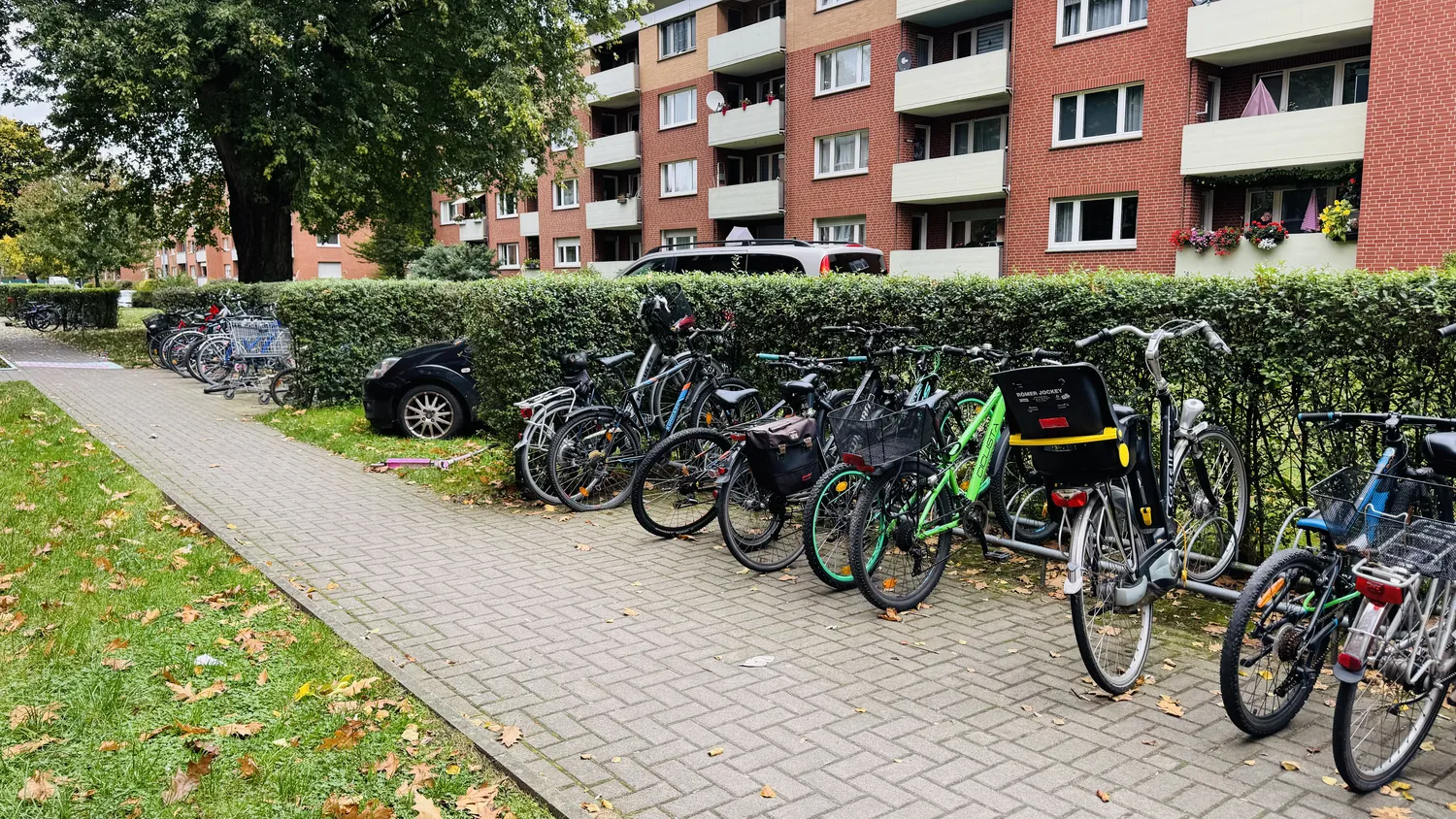 3 Zimmer Wohnung mit 76 m² in Greven – Bild 2
