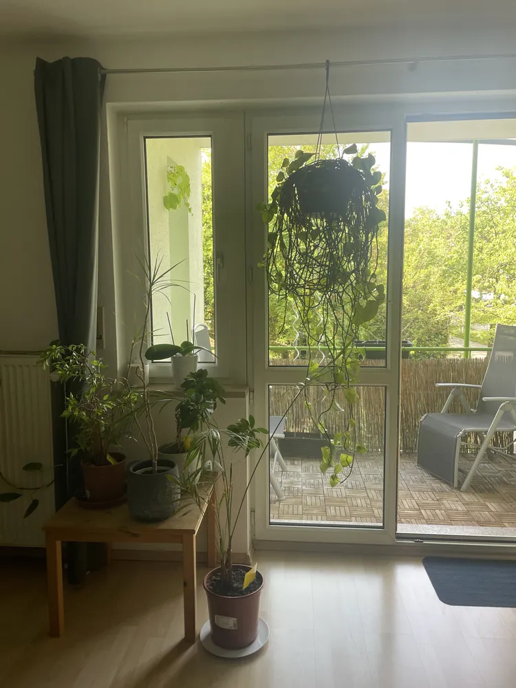 3 room apartment with 72 m² in Regensburg – Photo 3