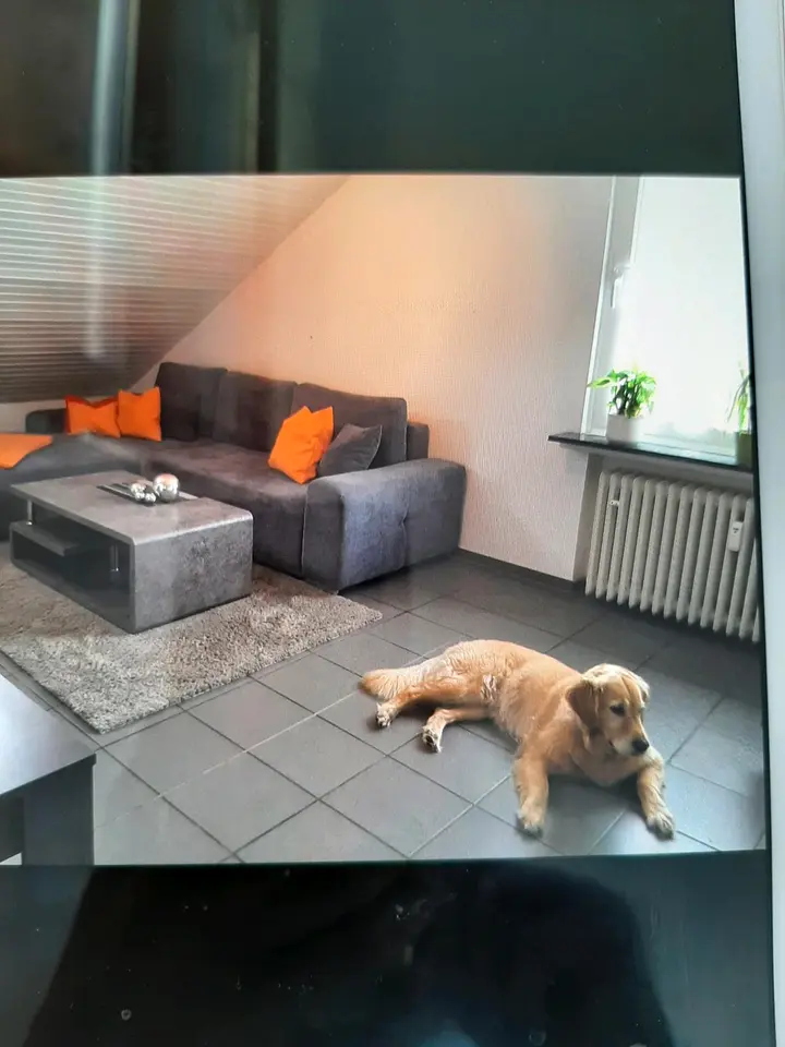 5 Zimmer Wohnung mit 86 m² in Arnsberg – Bild 10
