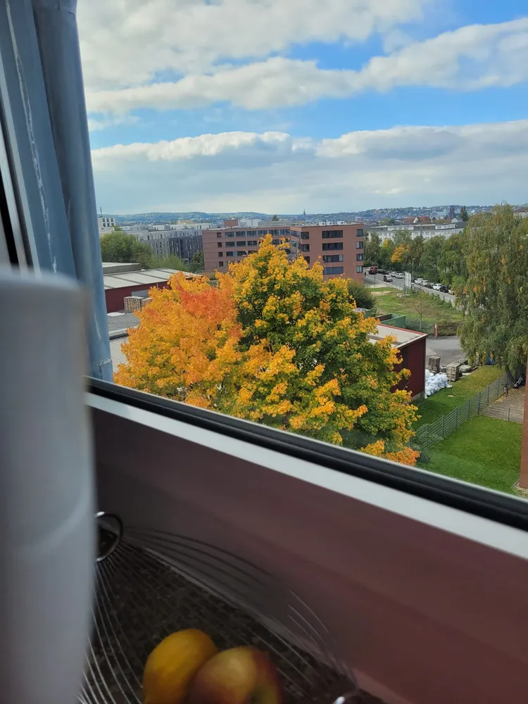 2 Zimmer Wohnung mit 53 m² in Aachen – Bild 8