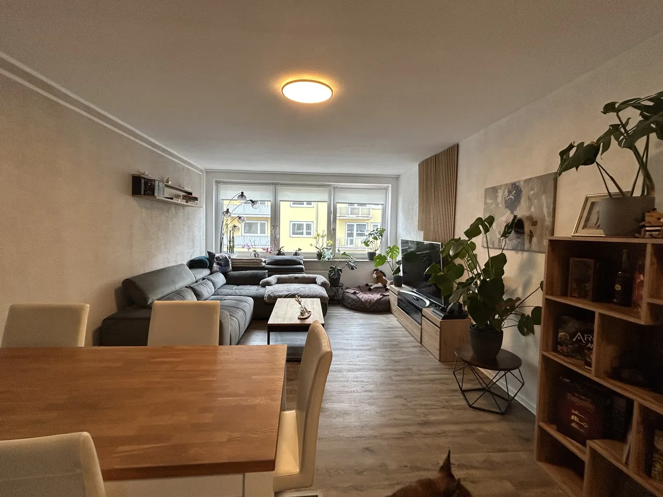 3 Zimmer Wohnung mit 74 m² in Wolfenbüttel – Bild 3