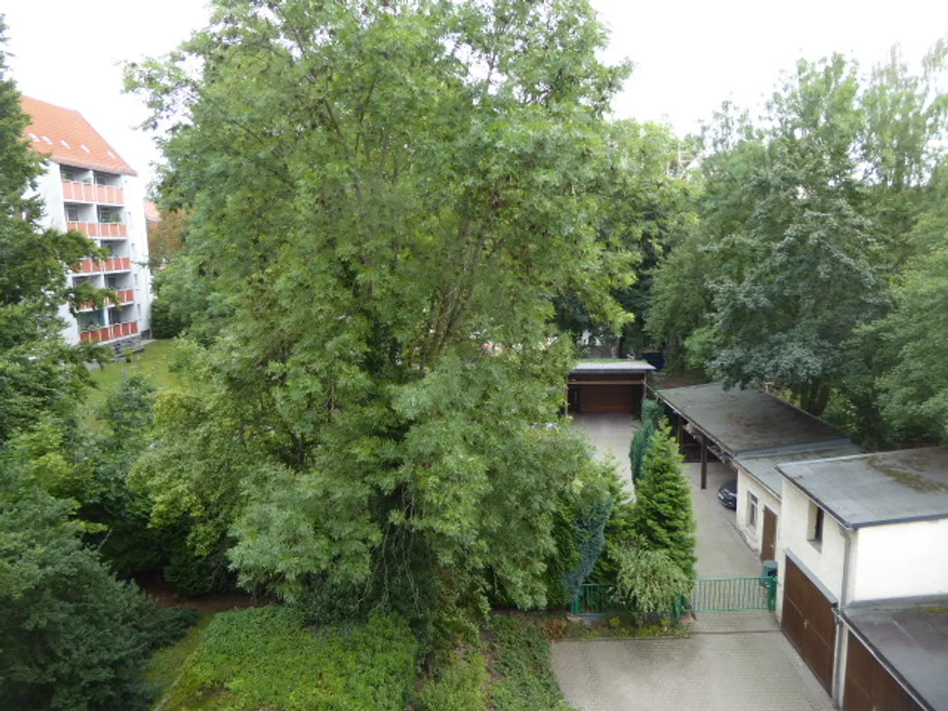 2 room apartment with 51 m² in Chemnitz – Photo 3