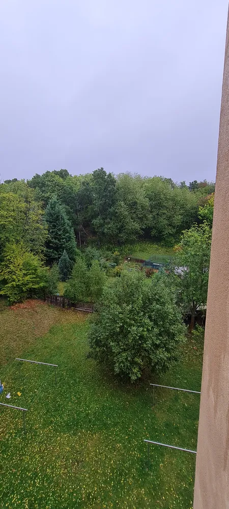 2 room apartment with 43 m² in Chemnitz – Photo 11