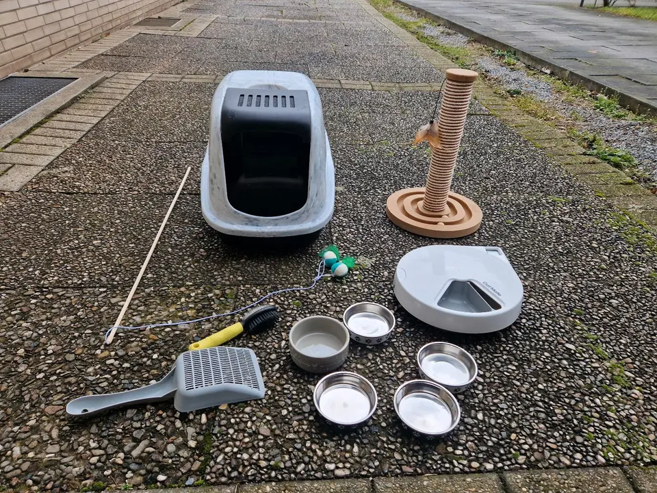 WG-Zimmer mit 45 m² in Koblenz – Bild 7