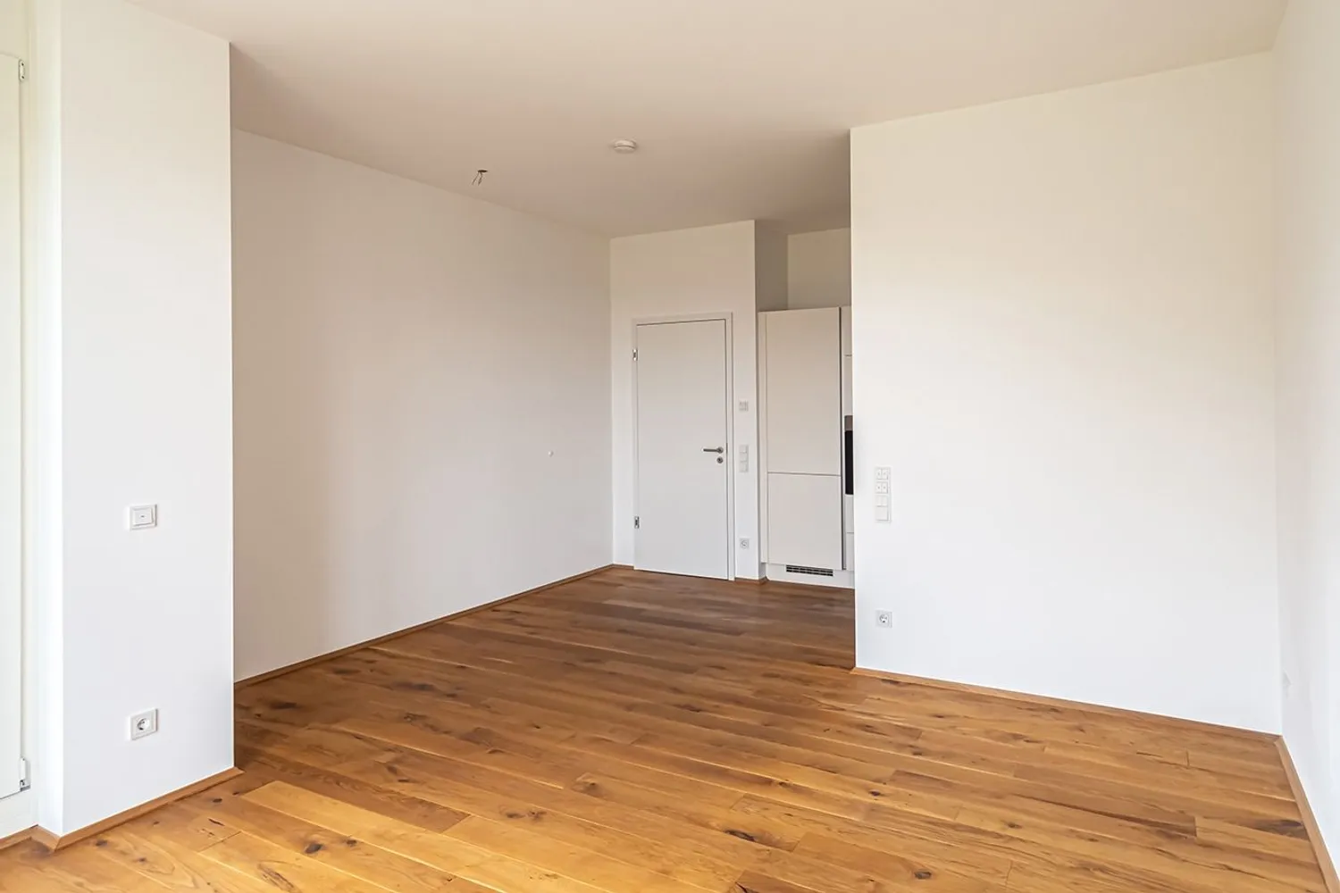 2 room apartment with 58 m² in Dresden – Photo 4