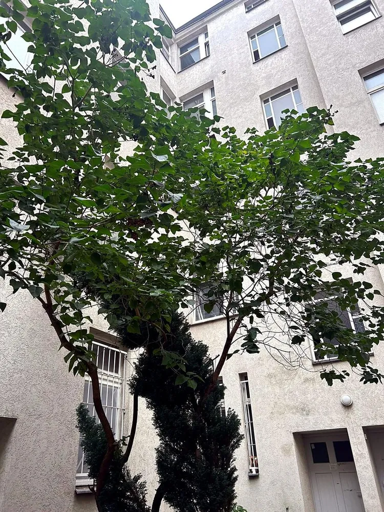 1 Zimmer Wohnung mit 42 m² in Berlin – Bild 3