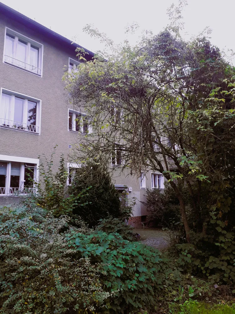 2 room apartment with 52 m² in Berlin – Photo 4