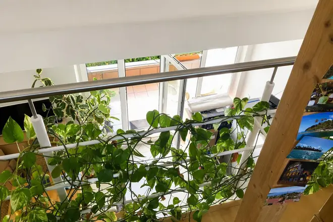 3 Zimmer Wohnung mit 70 m² in München – Bild 4