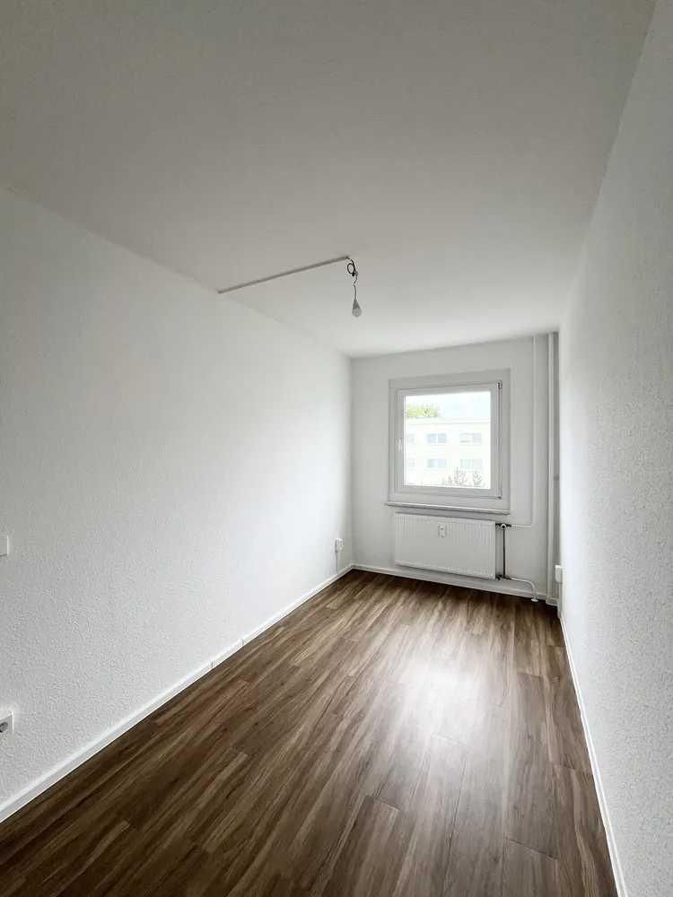 3 room apartment with 64 m² in Dresden – Photo 2