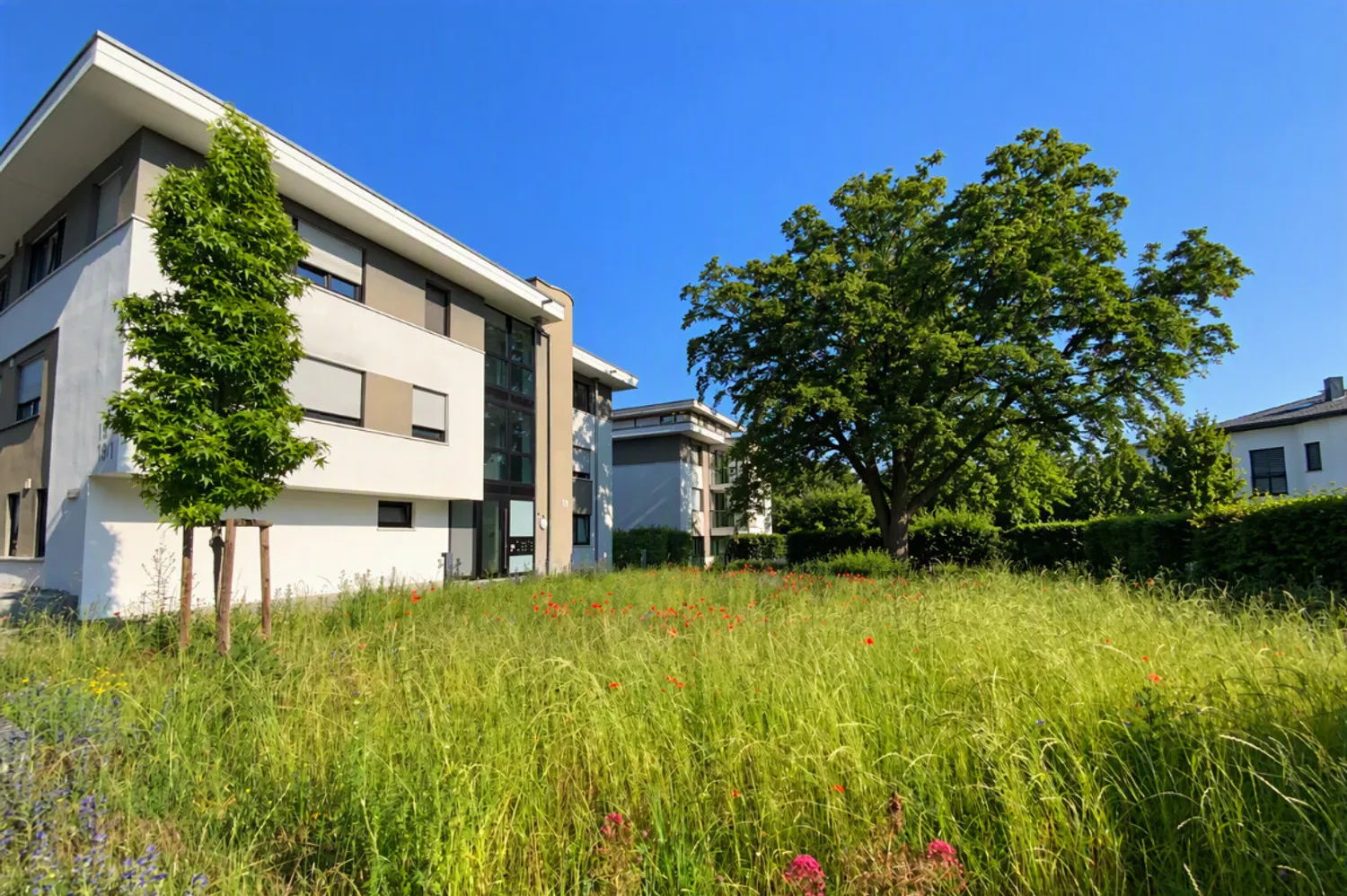 3 Zimmer Wohnung mit 91 m² in Ludwigsburg – Bild 3