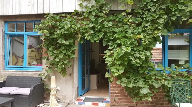 2 room apartment with 43 m² in Bonn – Photo 3