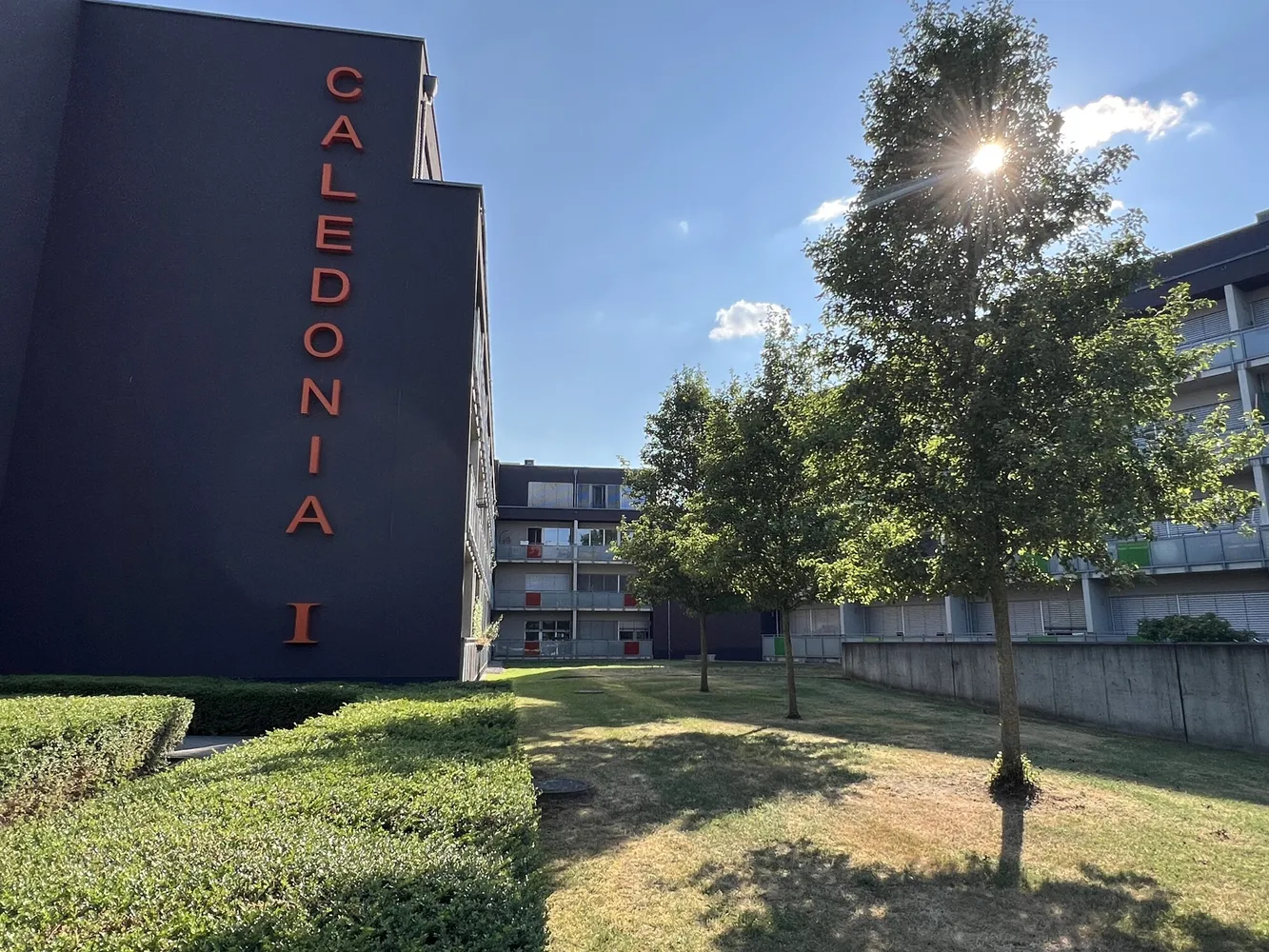 1 Zimmer Wohnung mit 31 m² in Münster – Bild 1