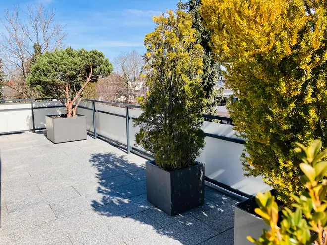 3 Zimmer Wohnung mit 93 m² in München – Bild 2