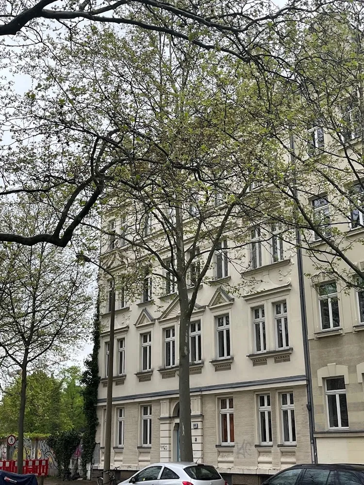 3 Zimmer Wohnung mit 78 m² in Leipzig – Bild 2