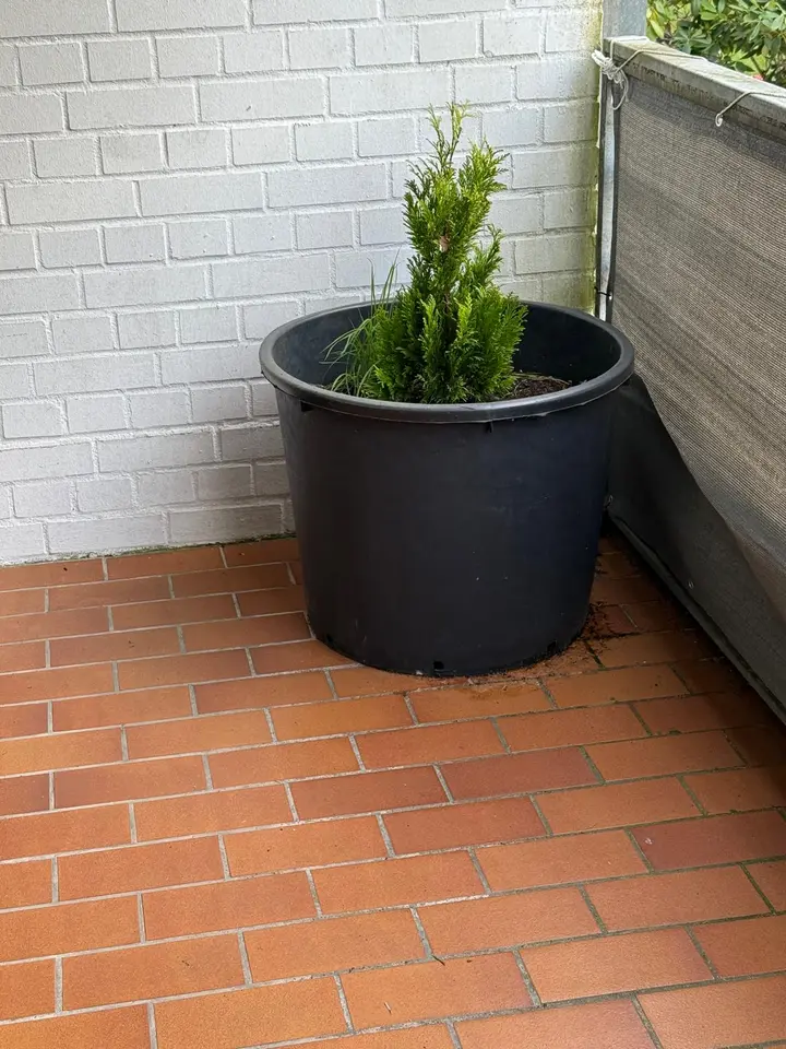 WG-Zimmer mit 50 m² in Seesen – Bild 2