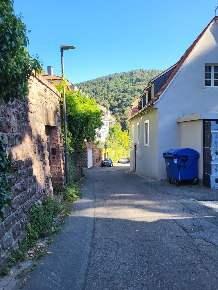 4 Zimmer Wohnung mit 100 m² in Heidelberg – Bild 8