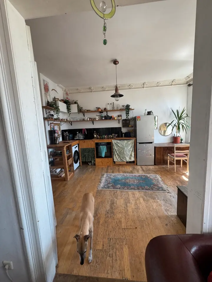 WG-Zimmer mit 56 m² in Grimma – Bild 5