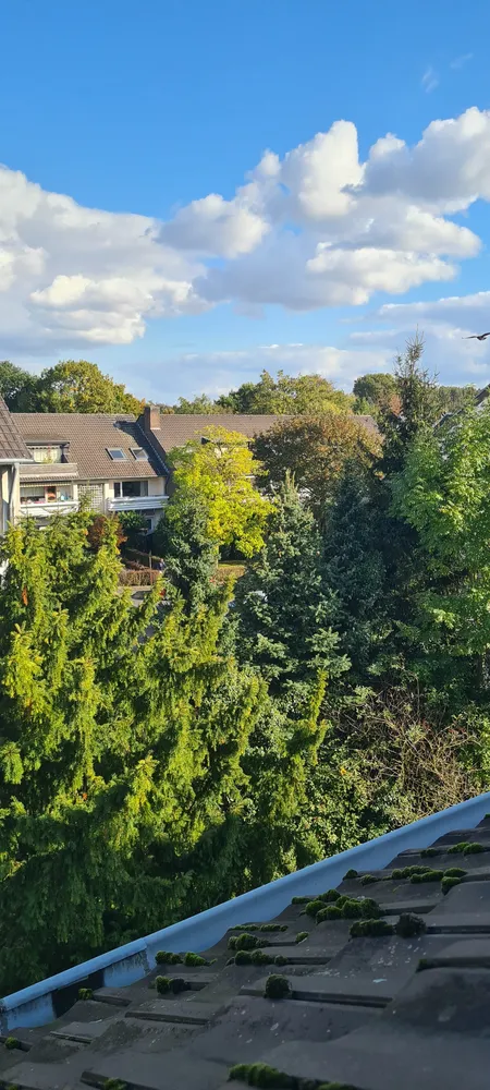 3 Zimmer Wohnung mit 56 m² in Meerbusch – Bild 2