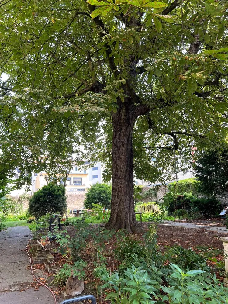 2 Zimmer Wohnung mit 59 m² in Berlin – Bild 11