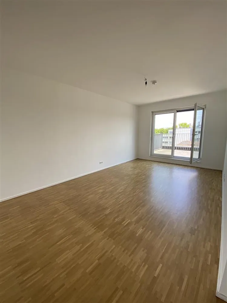 3 Zimmer Wohnung mit 193 m² in Frankfurt am Main – Bild 4