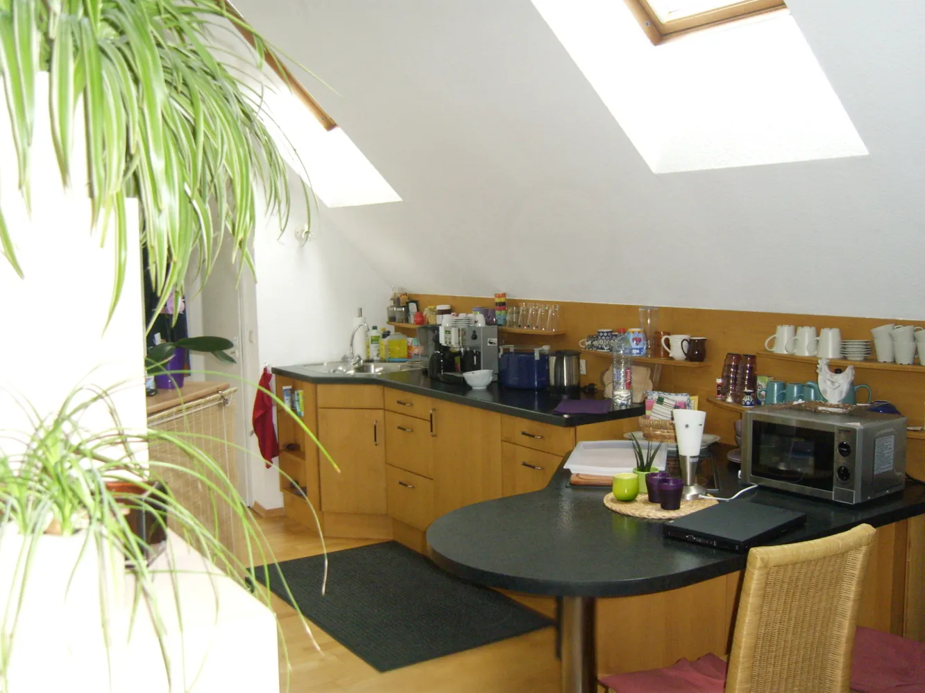 1 Zimmer Wohnung mit 38 m² in Melle – Bild 1