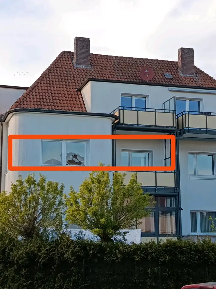 4 Zimmer Wohnung mit 86 m² in Bielefeld – Bild 4
