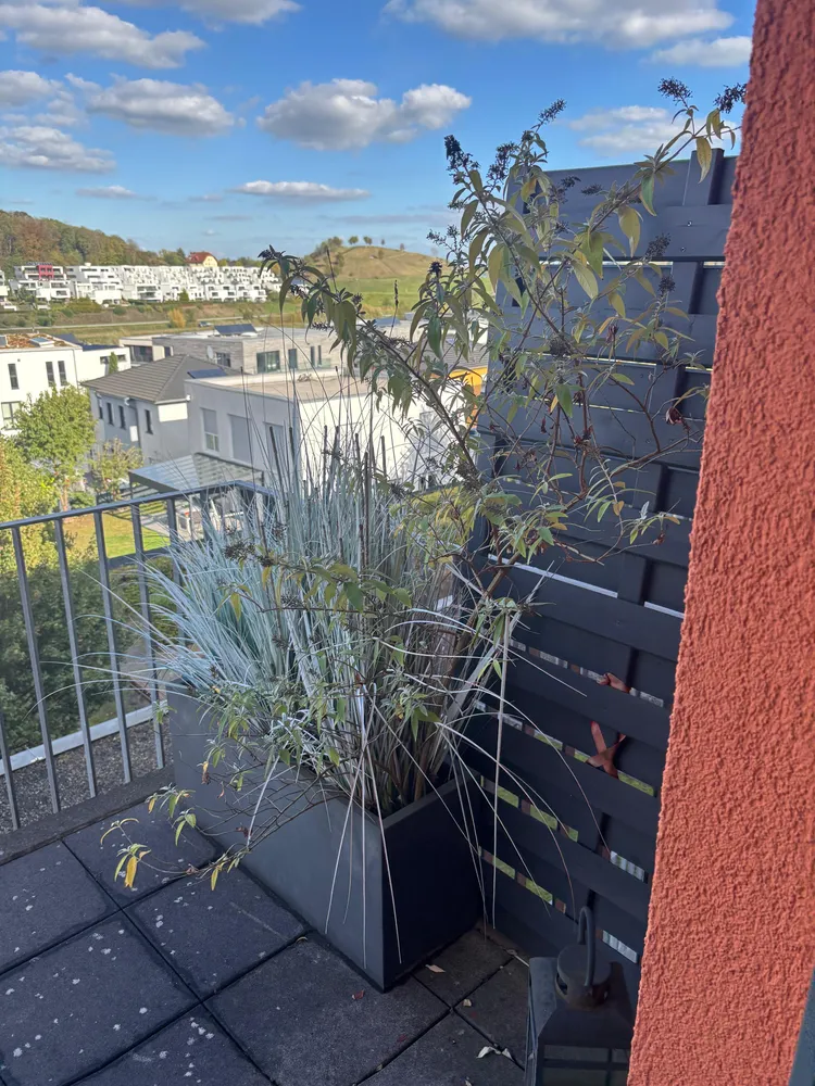 2 room apartment with 64 m² in Dortmund – Photo 5