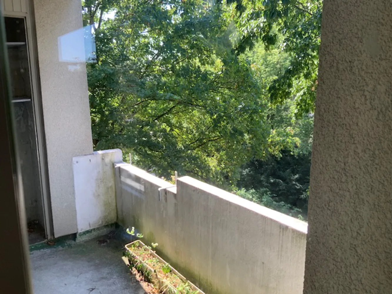 3 Zimmer Wohnung mit 74 m² in Krefeld – Bild 3