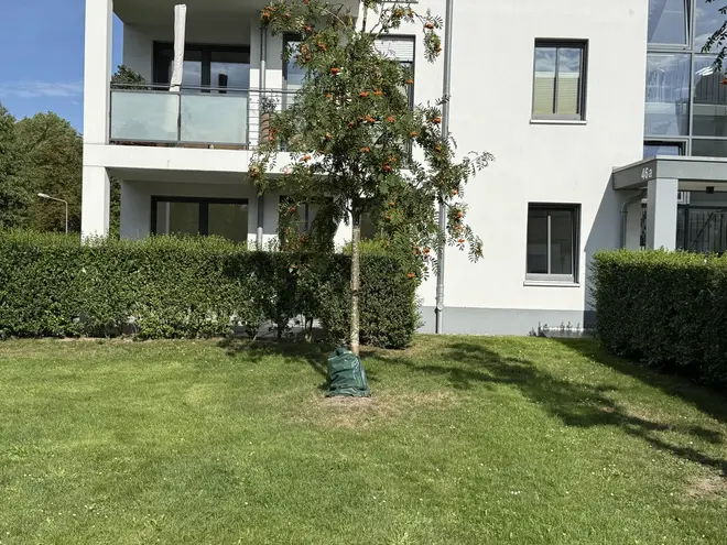 3 Zimmer Wohnung mit 92 m² in Rostock – Bild 5