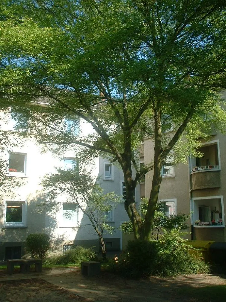 2 room apartment with 59 m² in Essen – Photo 2
