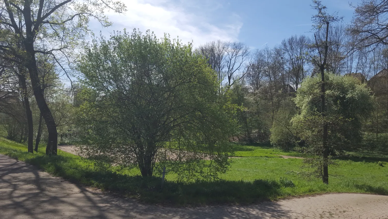 2 room apartment with 40 m² in Esslingen am Neckar – Photo 2
