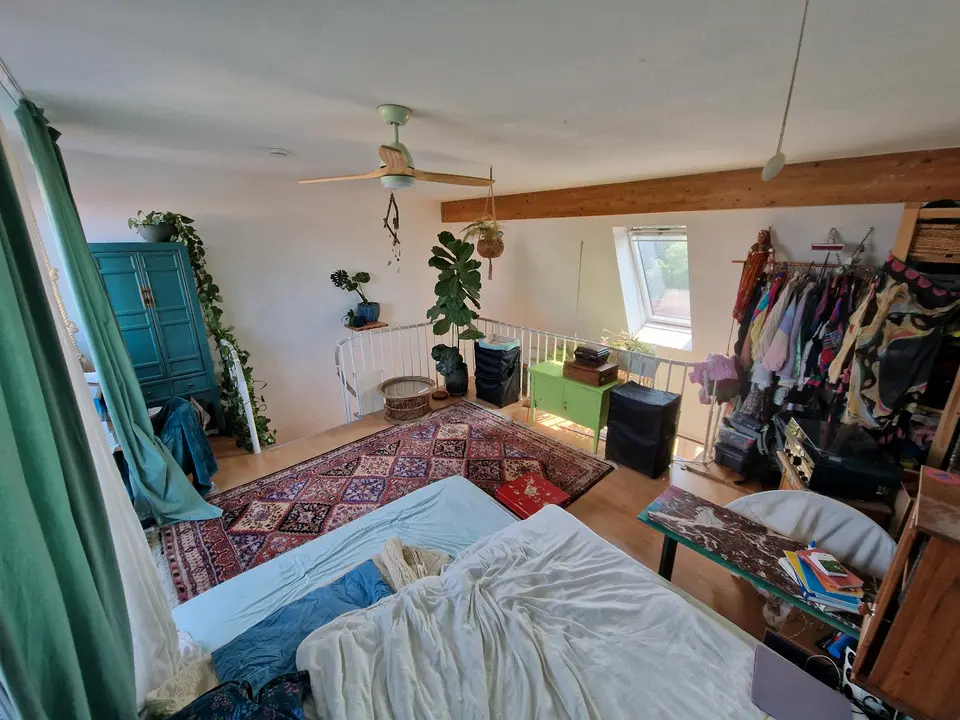 2 Zimmer Wohnung mit 70 m² in Dresden – Bild 4