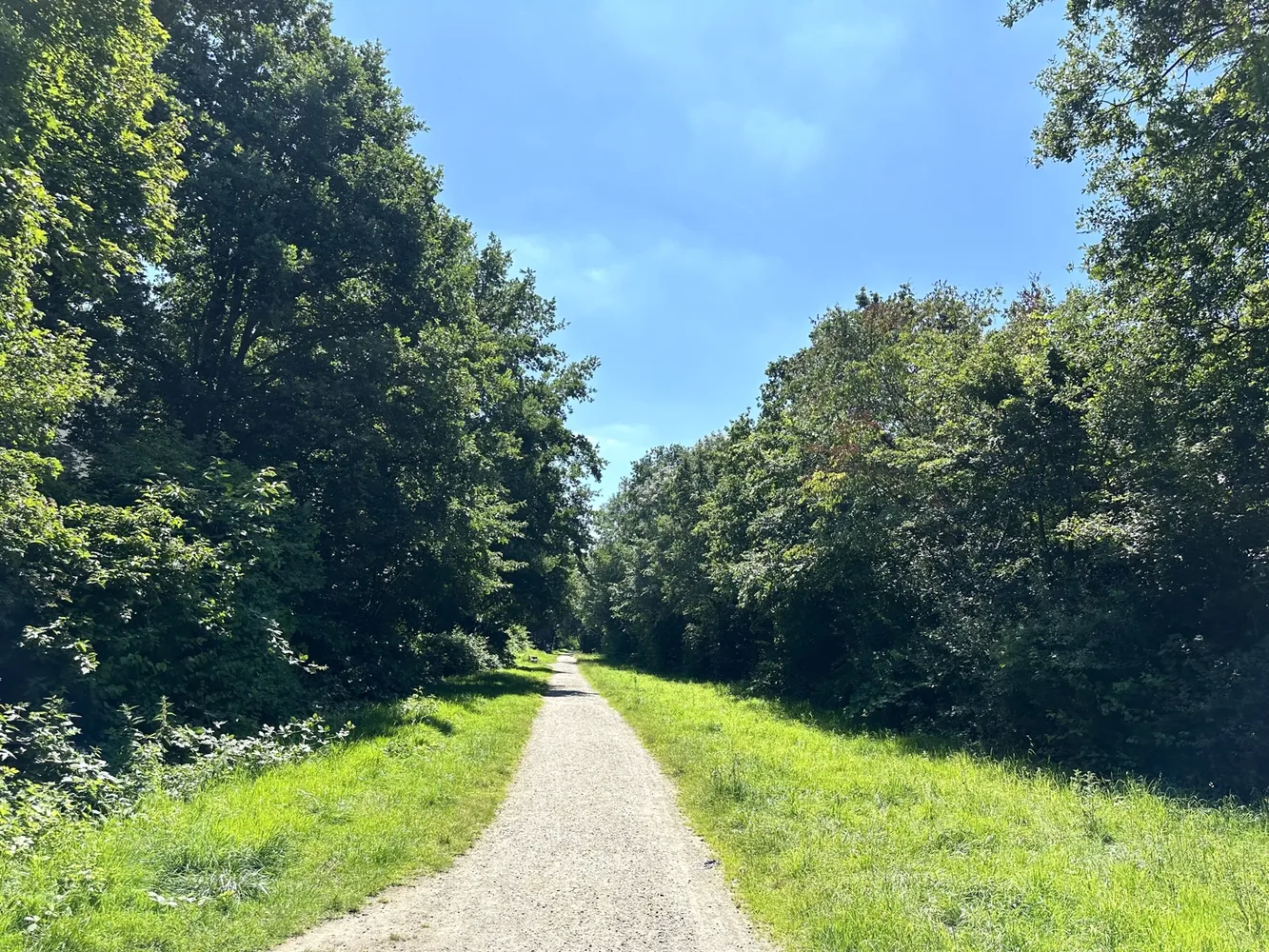 2 Zimmer Wohnung mit 73 m² in Hannover – Bild 3