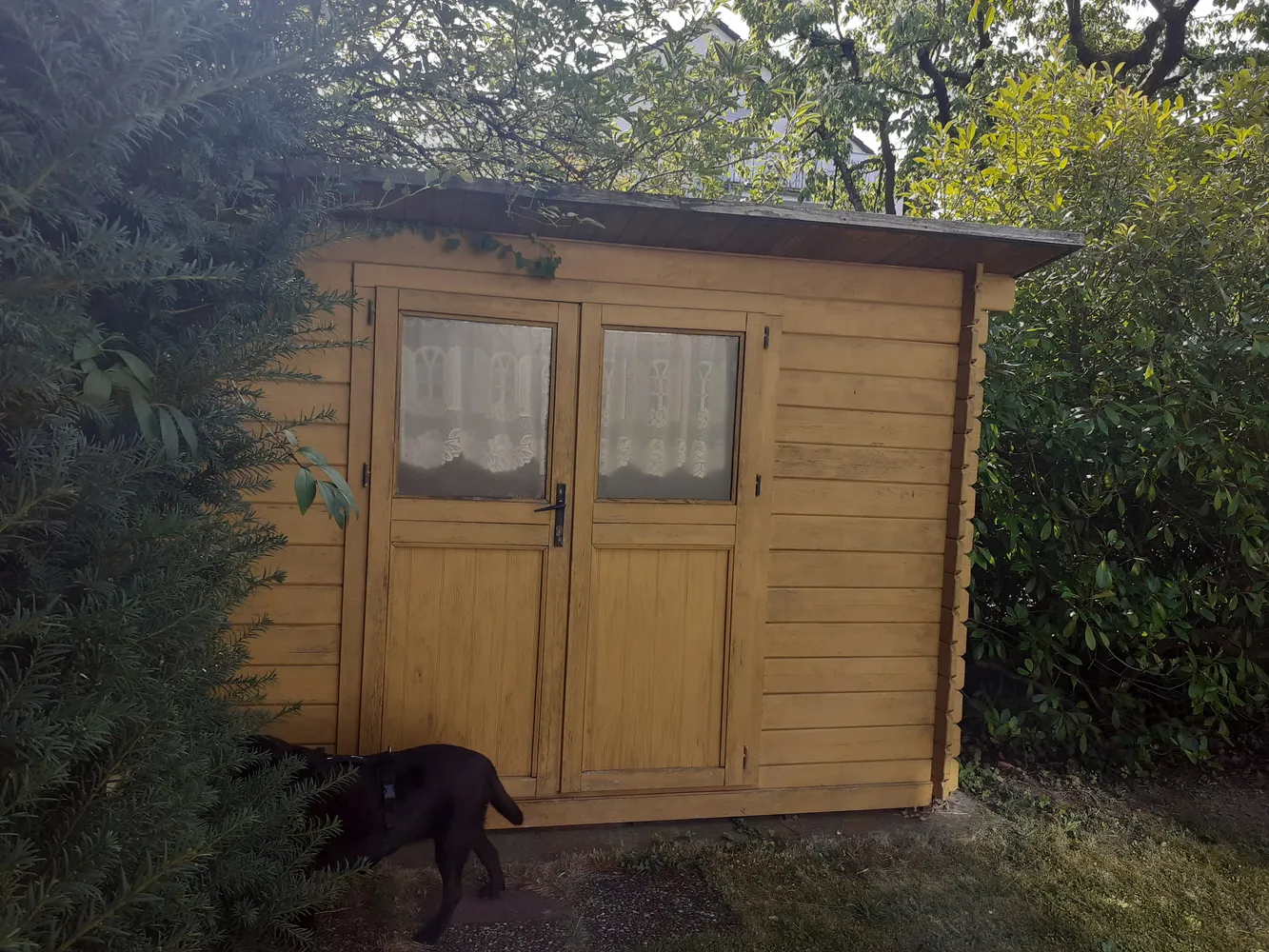 2 room apartment with 53 m² in Dreieich – Photo 10