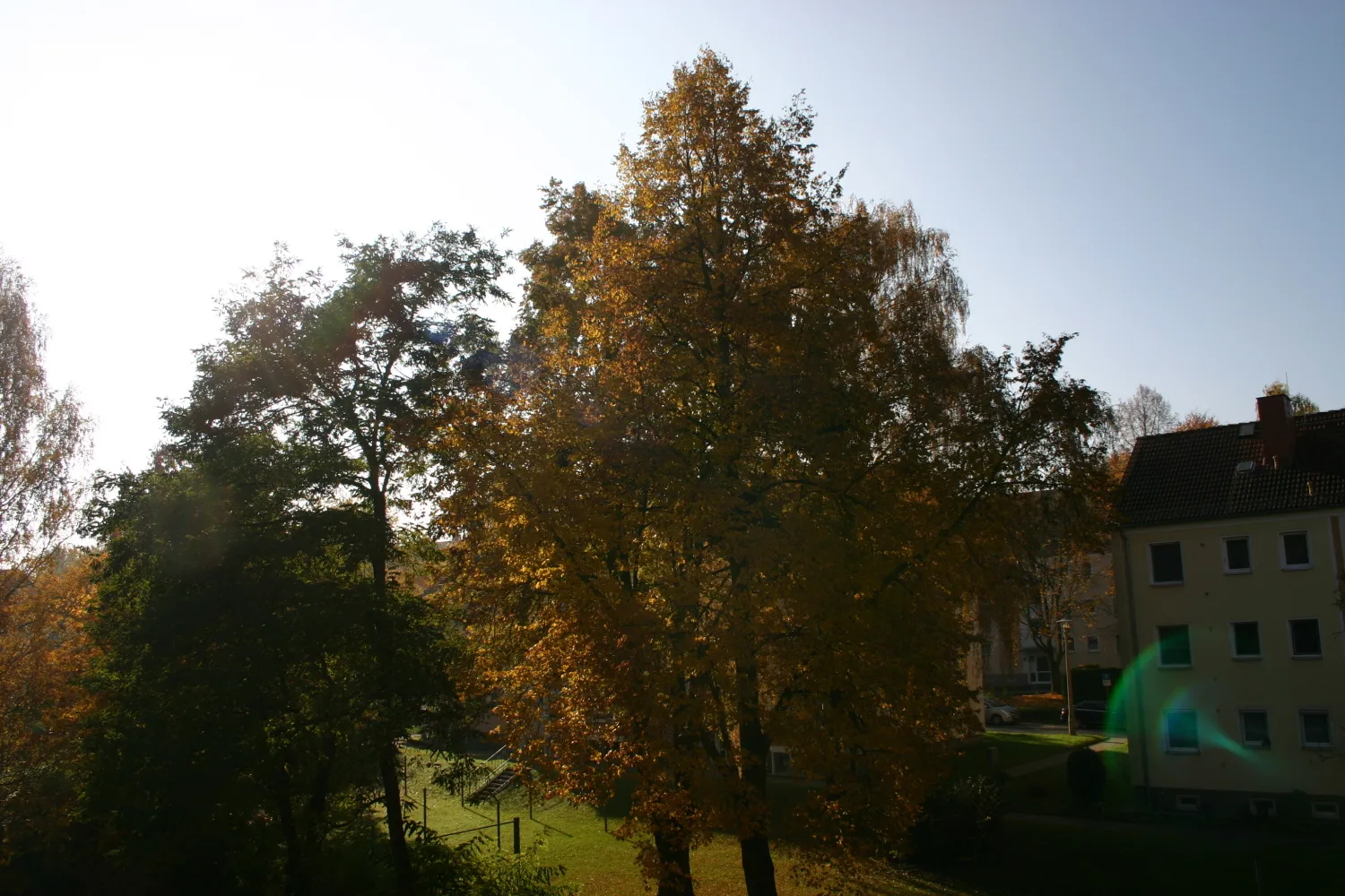 3 room apartment with 60 m² in Zeitz – Photo 3
