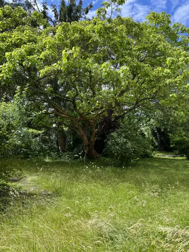 2 Zimmer Wohnung mit 44 m² in Berlin – Bild 6