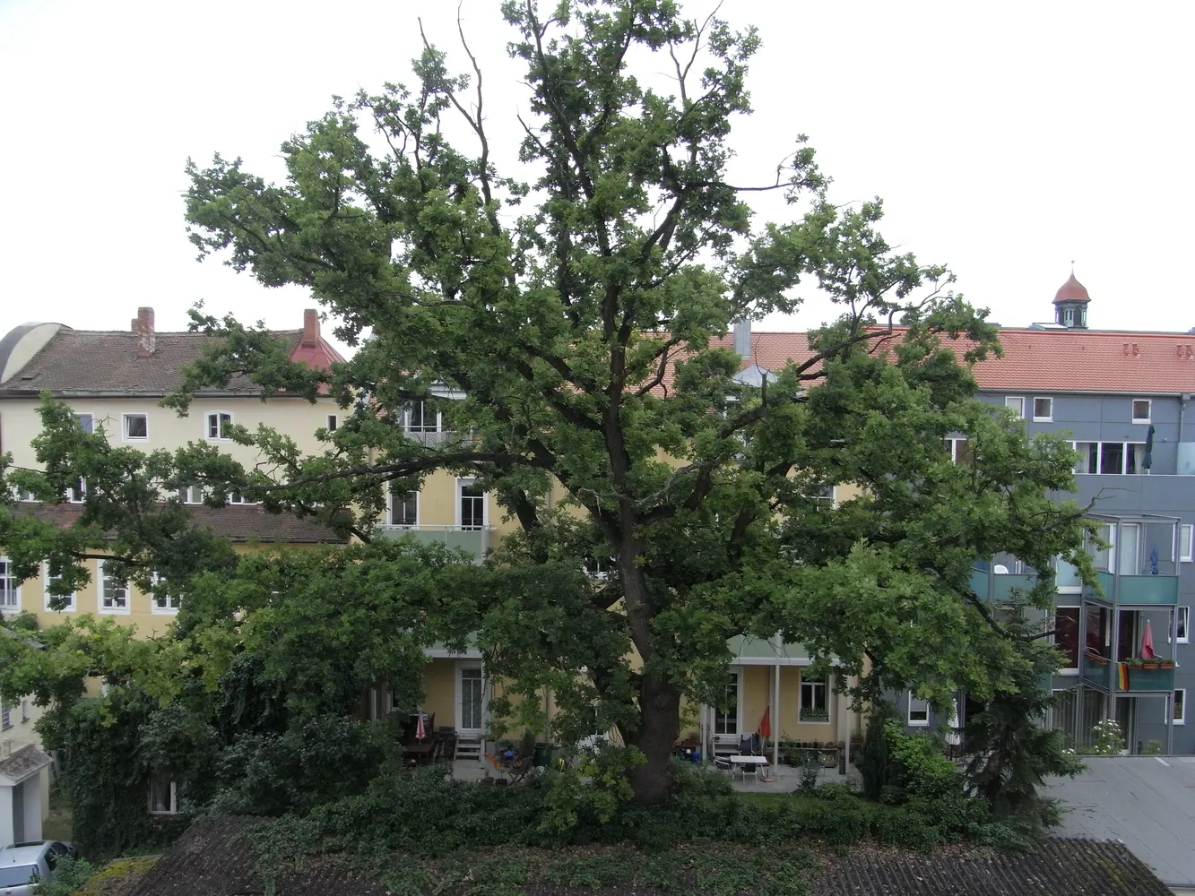 2 Zimmer Wohnung mit 45 m² in Regensburg – Bild 1