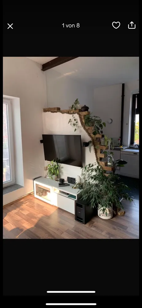 2 Zimmer Wohnung mit 52 m² in Mannheim – Bild 1