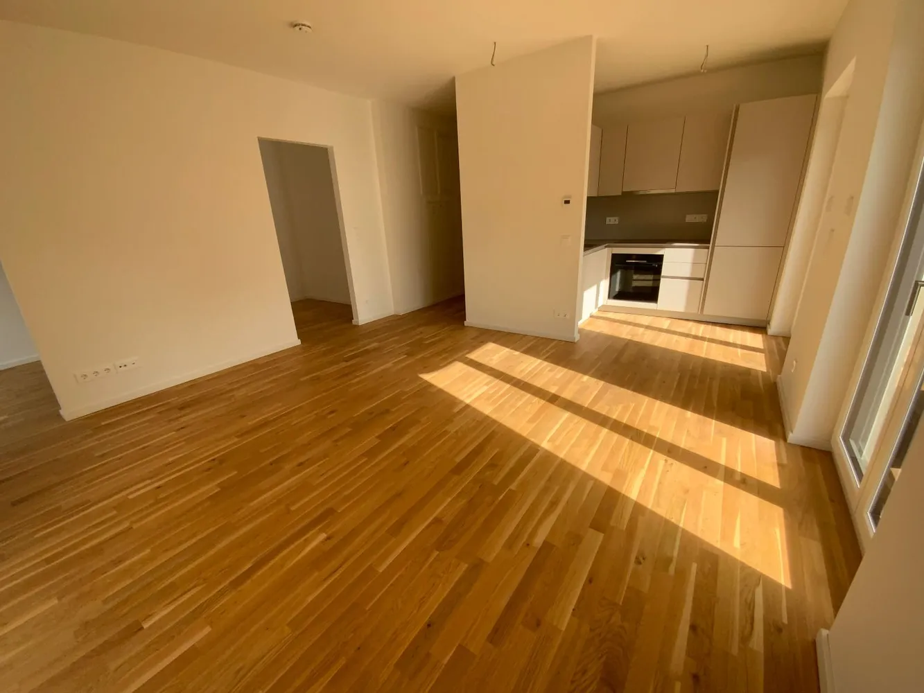 2 room apartment with 53 m² in Dresden – Photo 6