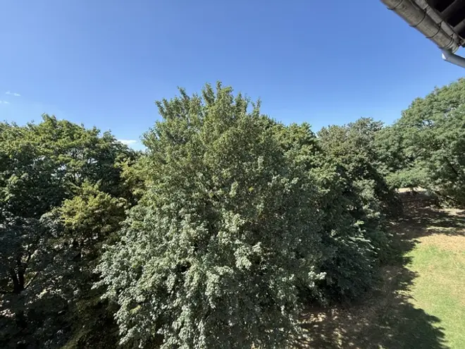 3 Zimmer Wohnung mit 69 m² in Duisburg – Bild 7