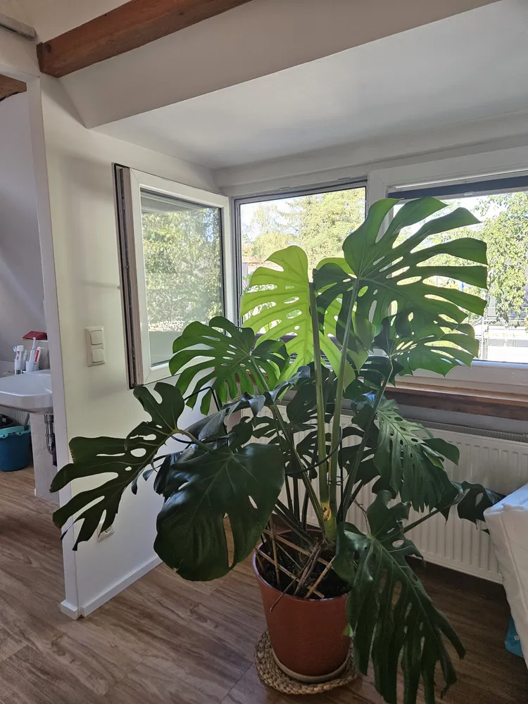 1 Zimmer Wohnung mit 47 m² in München – Bild 7
