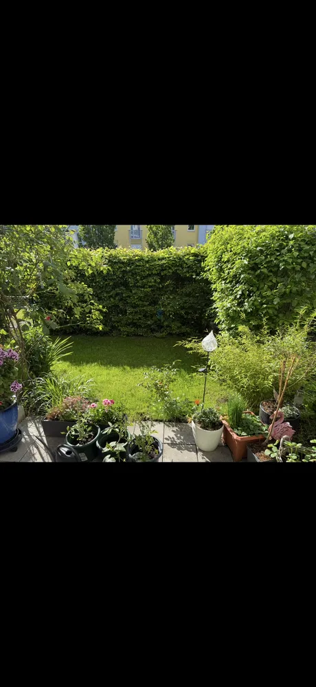1 Zimmer Wohnung mit 42 m² in Nürnberg – Bild 7