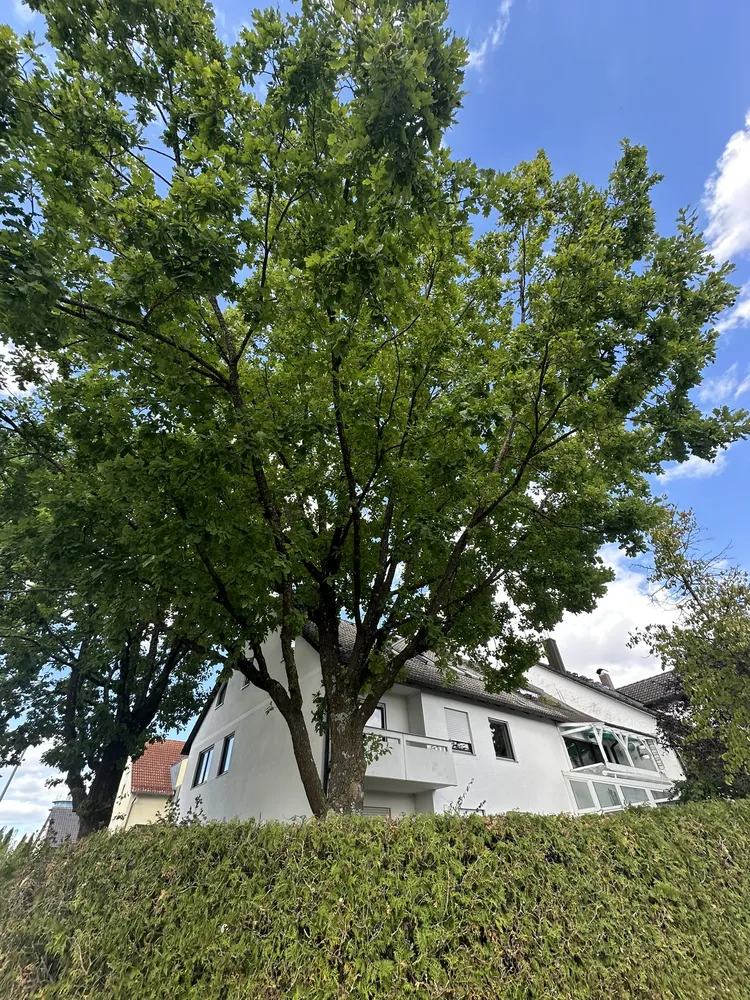 3 room apartment with 100 m² in Regensburg – Photo 2