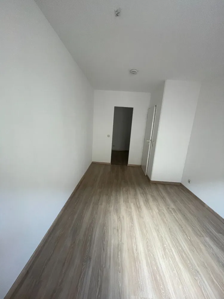 2 Zimmer Wohnung mit 52 m² in Dresden – Bild 2