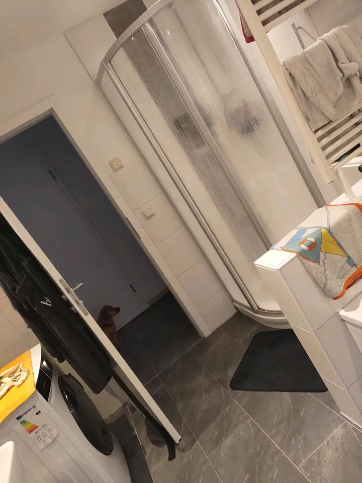 3 Zimmer Wohnung mit 75 m² in Cottbus – Bild 5
