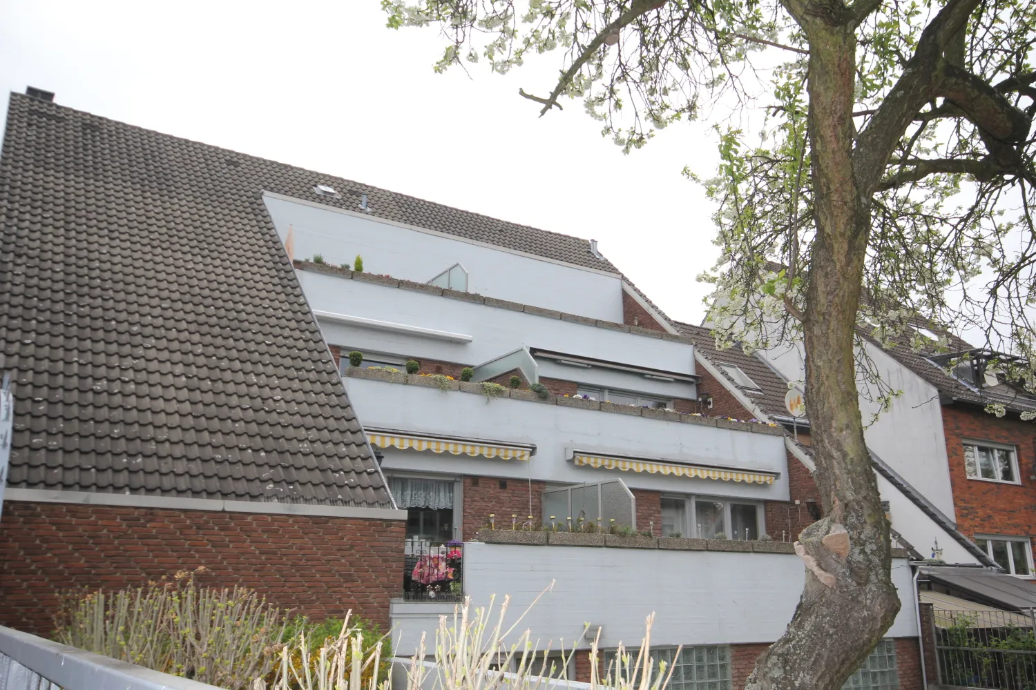 3 room apartment with 70 m² in Cologne – Photo 2