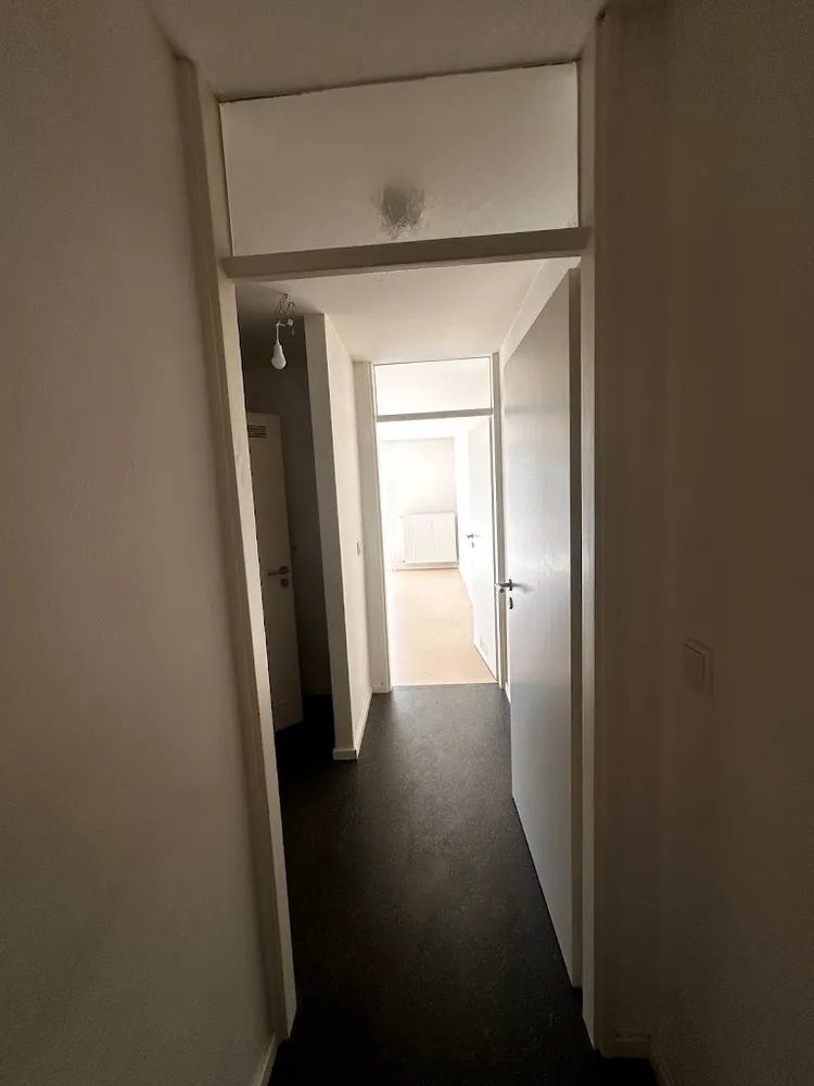 1 Zimmer Wohnung mit 31 m² in Nürnberg – Bild 3