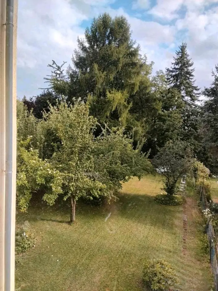 3 Zimmer Wohnung mit 84 m² in Kassel – Bild 4